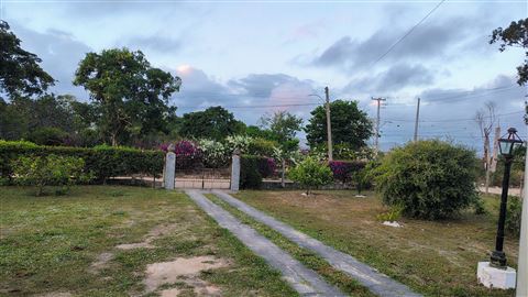 Caminho pelo jardim